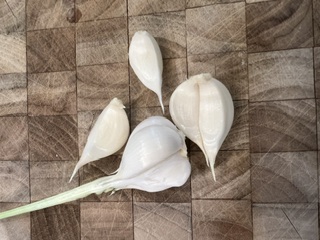 LF Garlic26.jpeg